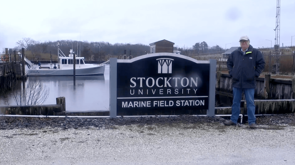 The Noises of the&nbsp;Ocean